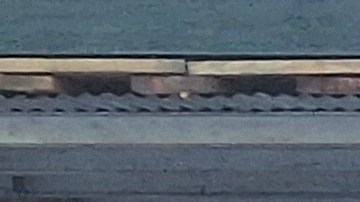 En las calles de la Gran Manzana el tema central de la clase trabajadora es el alto costo de la vida que parece no tiene freno.