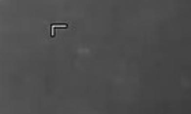 Los ataques cerca de Venezuela a supuestos botes ligados al narcotráfico persisten pese a que Estados Unidos ha dado su visto bueno al Gobierno interino de Delcy Rodríguez.