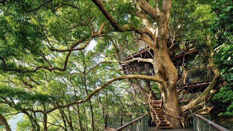 48a95cd0-f73d-11f0-a422-4ba8a094a8fa