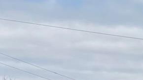 Personas reaccionan durante una manifestación este domingo, en Texas (EE.UU.).