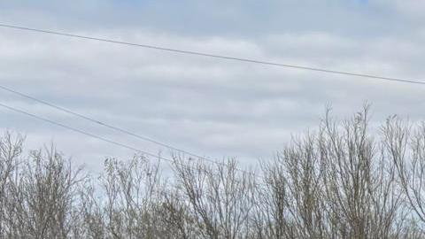Personas reaccionan durante una manifestación este domingo, en Texas (EE.UU.).