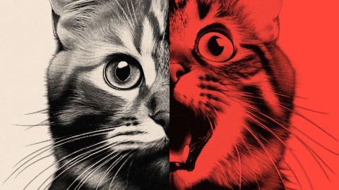 Imagen inteligencia artificial