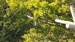 Mary Jobaida por el Distrito 36 a la Asamblea.