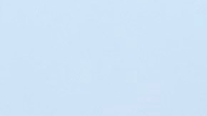 Anuncian plan de  mejoras para este verano en Coney Island