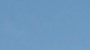 La droga encontrada está valorada en $441 millones de dólares.