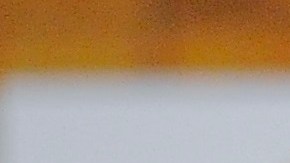 Trump afirmó que Jackson era alguien que amaba a la gente.