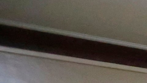 Pese a la decisión, los cargos seguirán vigentes.