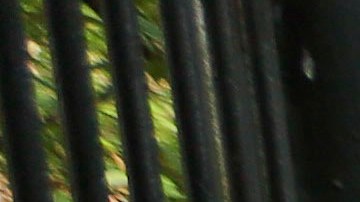 Goldstein apuntó que Mamdani tiene la oportunidad de ahorrarle dinero a la ciudad si sigue con el programa de compostaje.