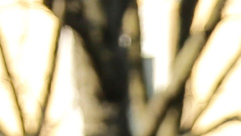 Los vecinos describieron a Victorio como un "buen tipo", un corredor frecuente que siempre saludaba a los demás.