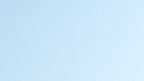 Residente Calle 13, Bad Bunny y Ricky Martin