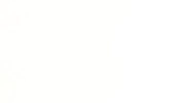 Un memorando de la administración Trump ordenó al servicio de parques revisar todo el contenido público en busca de mensajes que menosprecien a los estadounidenses.