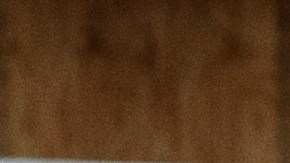 La mayoría de los inmigrantes afrodescendientes habla inglés con fluidez.