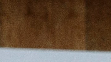 La mayoría de los inmigrantes afrodescendientes habla inglés con fluidez.