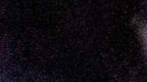 Agentes federales lanzaron municiones químicas contra la multitud, golpeando a una mujer de 84 años en la cabeza con una bala de pimienta, dejándola cubierta de sangre.