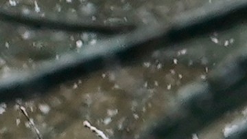 Una mujer y un niño suben una colina nevada en el centro de Brooklyn durante una tormenta de nieve.