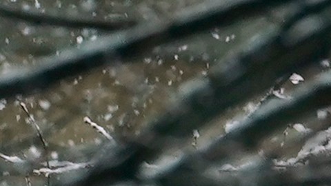 Una mujer y un niño suben una colina nevada en el centro de Brooklyn durante una tormenta de nieve.