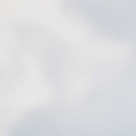 El operativo se realizó en el municipio de Tapalpa en horas de la mañana del domingo.