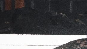 El residente en cuestión dijo que frecuentemente se escuchaba al hombre discutir con una mujer que lo visitaba.