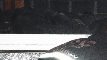 El residente en cuestión dijo que frecuentemente se escuchaba al hombre discutir con una mujer que lo visitaba.