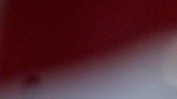 Muchas empresas dedicadas al comercio electrónico se habían visto afectadas por los gravámenes del republicano y la incertidumbre en torno a su política arancelaria.