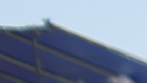 Se esperan en hinchas en Florida de diferentes continentes.