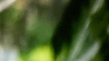 Marín Silva recibió una orden de extradición en junio de 2025.