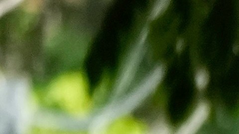 Marín Silva recibió una orden de extradición en junio de 2025.