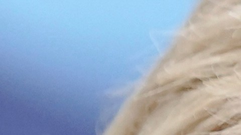 Entrevista exclusiva a Jennifer Granholm, exsecretaria del DOE