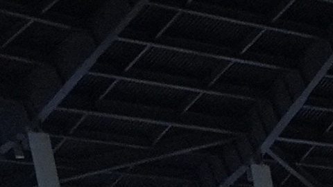 Clásico Mundial de Beisbol dará dos cupos a los Juegos Olímpicos Los Angeles 2028