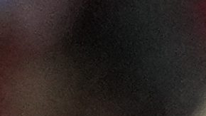 Panama's players celebrate their team victory 3-1 over Bolivia at the end of a Copa America Group C soccer match in Orlando, Fla., Monday, July 1, 2024. (AP Photo/John Raoux)