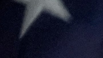 Congresista republicano de Tennessee, Andy Ogles