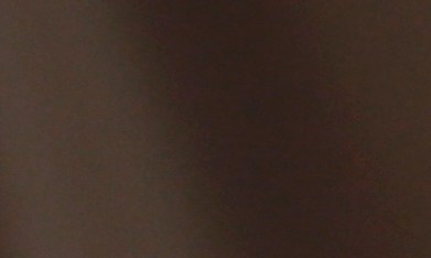 “Desliza a la derecha. Vota por Fishback. Pon a Estados Unidos primero”, escribió en Instagram.