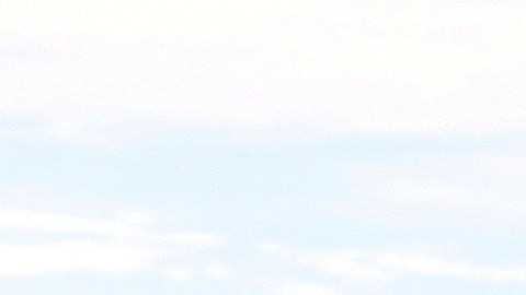 Se descartó que el incidente se deba a acciones de combate.