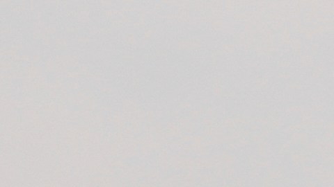 Agentes del orden bloquean una calle durante una protesta.