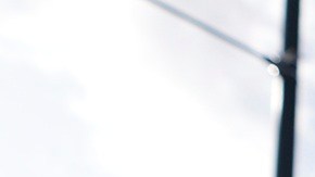 ICE ha enfocado operaciones incluso en cortes migratorias.