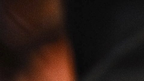 Murió el luchador brasileño de MMA, Pablo Oliveira Costa mientras instalaba un aire acondicionado