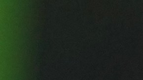 Una persona sostiene una rosa durante un servicio de oración en apoyo a los inmigrantes.