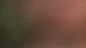 La primera ministra japonesa, Sanae Takaichi, junto al presidente estadounidense, Donald Trump en su visita a Japón el martes 28 de octubre de 2025.