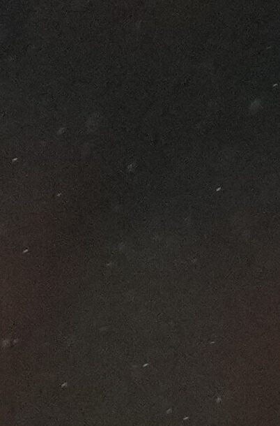 José Luis Chilavert arremetió contra Courtois por defender a Vinícius: “Le sacó la novia a su compañero”