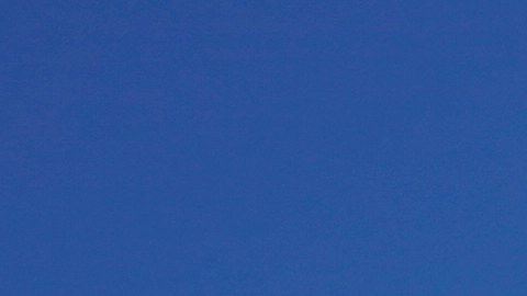 Kepner estaba con su familia de vacaciones en el Caribe en el crucero de Carnival.