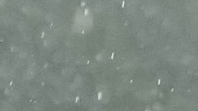 Murió Nicolás Giani, exjugador del Inter, tras una enfermedad incurable