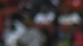 Los jugadores de Jamaica posan para una foto antes de un partido contra Trinidad y Tobago durante un partido de fútbol clasificatorio para la Copa Mundial 2026 en Puerto España, Trinidad y Tobago, el jueves 13 de noviembre de 2025.