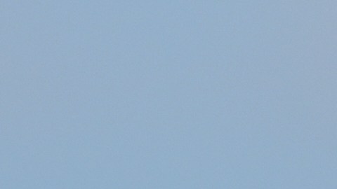 Tulsi Gabbard de la Oficina de la Directora de Inteligencia Nacional (ODNI)