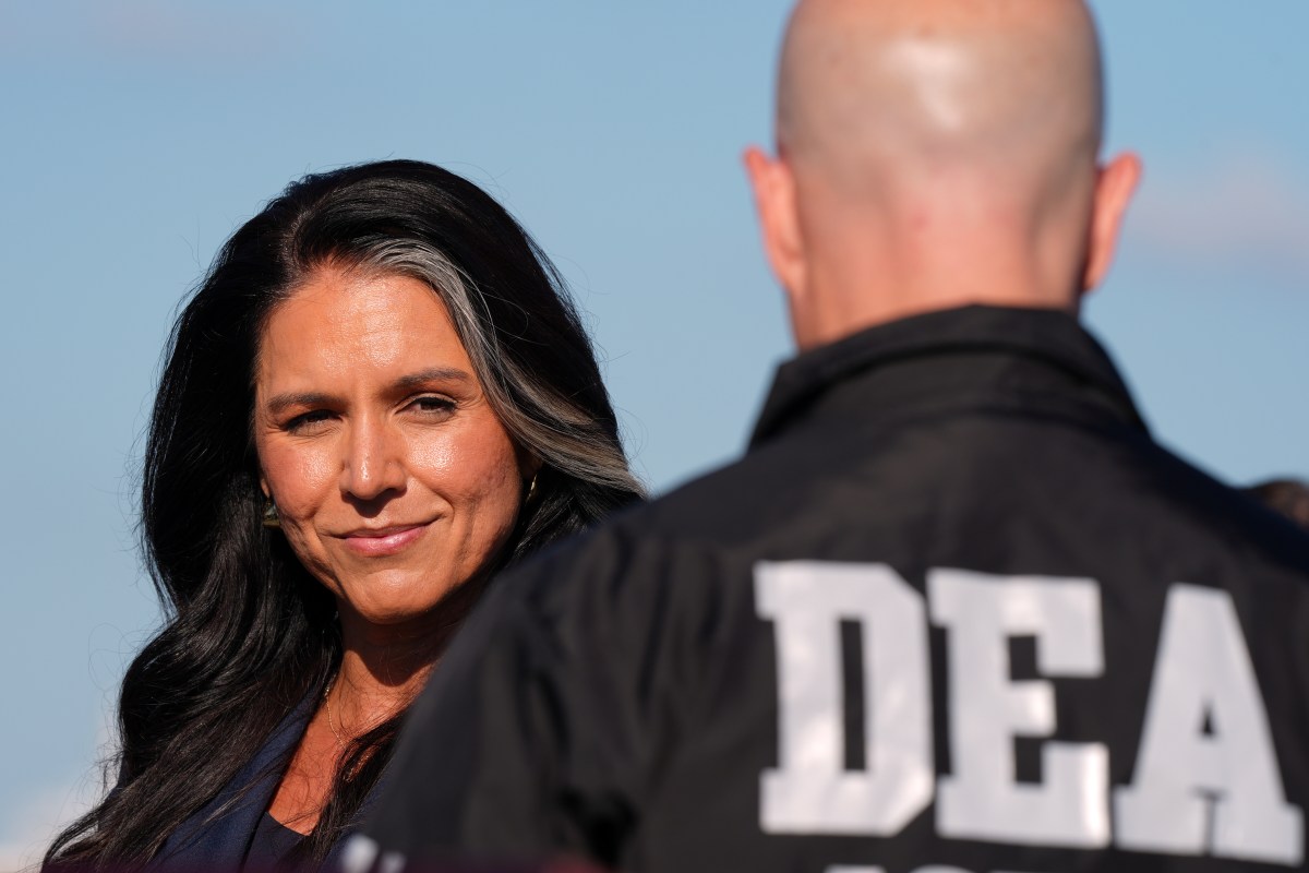 Jefa de Inteligencia de EE.UU. investiga máquinas de votación en Puerto Rico a pedido de Trump