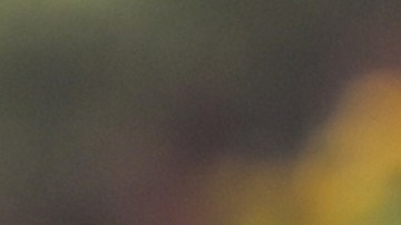 En total, Trump rebajará un 7% los aranceles.