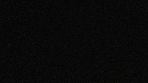 Donald Trump felicita a Gianni Infantino “por sus 10 años como presidente de la FIFA” tras polémico video