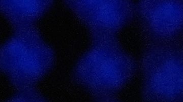 Desvelan los salarios de todos los pilotos de la Fórmula 1 para la temporada 2026