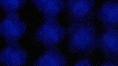 Desvelan los salarios de todos los pilotos de la Fórmula 1 para la temporada 2026