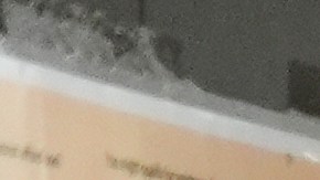 Agentes migratorios en corte de NYC