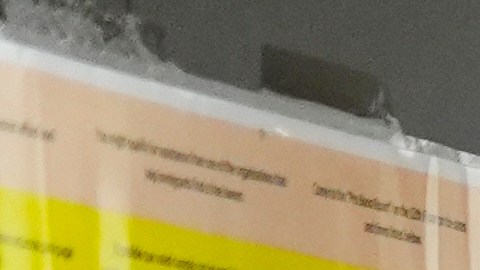 Agentes migratorios en corte de NYC